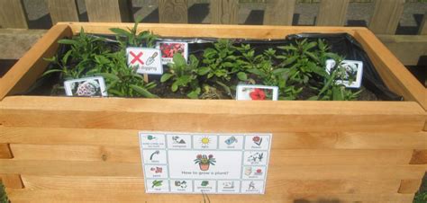 Gardening Club activities | Burton Salmon Primary School