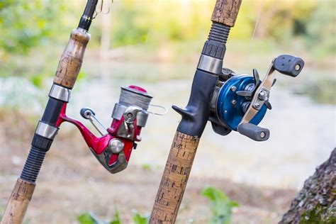 Types of Fishing Reels: The Complete Guide