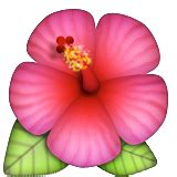 Flower Emojis on iOS, Android, and Twitter