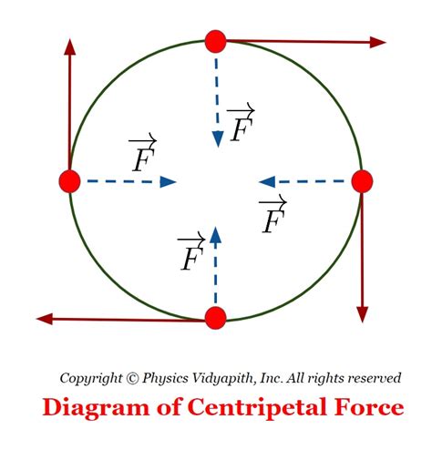 Centripetal Force Definition Formulaequation And Exam - vrogue.co