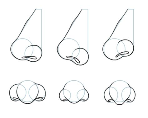 Jeff Searle: Drawing the nose