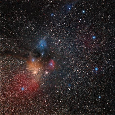 Rho Ophiuchi nebulae - Stock Image - R560/0235 - Science Photo Library