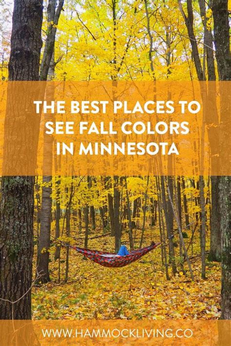 The 7 Best Places to See Fall Colors in Minnesota