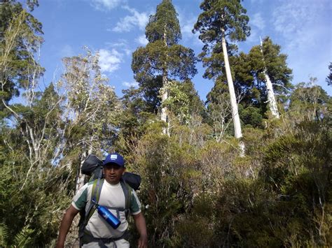 Chile Lake District Hiking Tour in the Chilean Andes