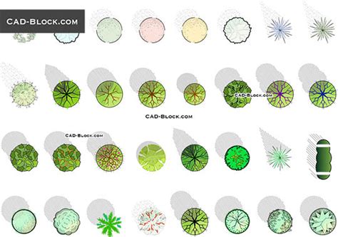 Trees for Landscaping Plan CAD blocks free download, AutoCAD models