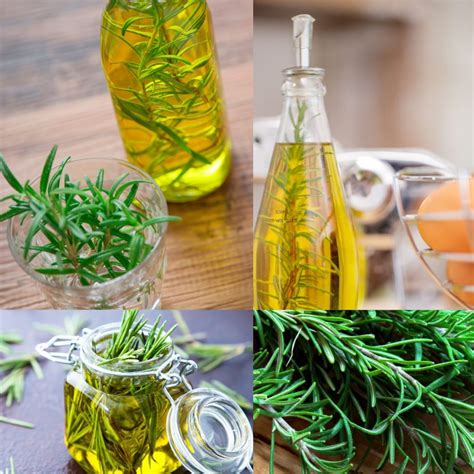 Making Rosemary Oil is Super Simple, Delicious and Beneficial - GardensAll