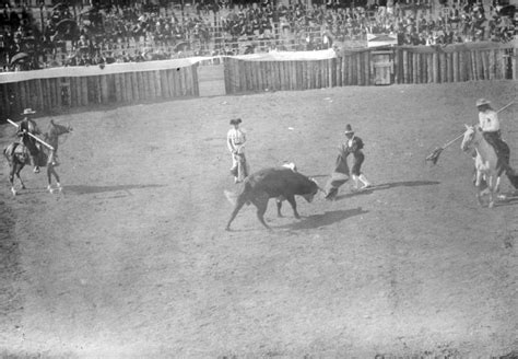 A (Mercifully) Brief History of Colorado Bullfighting | Denver Public ...