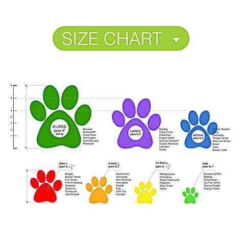 PAWZ DOG BOOTS Brand New (Tiny Size tiny- Lime Green Colour In The ...