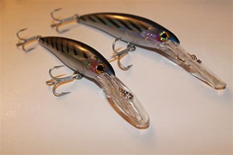 Top 10 Best Saltwater Fishing Lures Deep Diving - Top Reviews | No Place Called Home