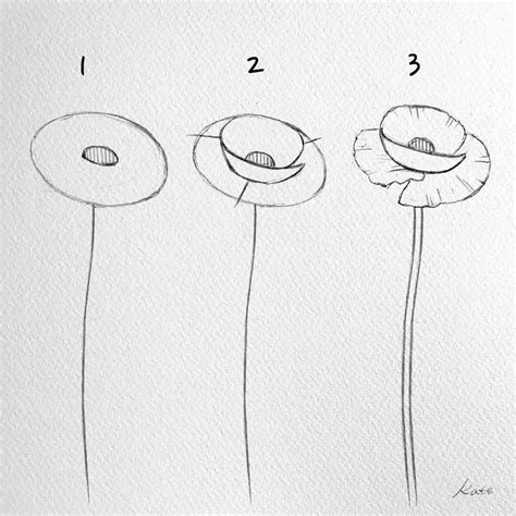 How To Draw A Flower Step By With Pictures | Best Flower Site