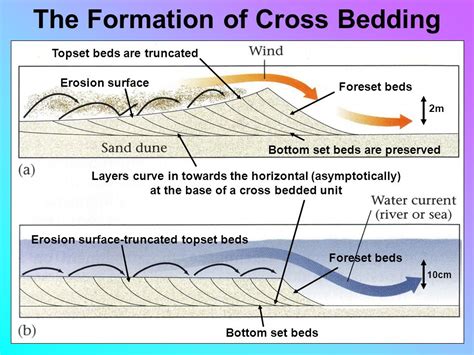 Definition Cross Bedding Geology | Bruin Blog