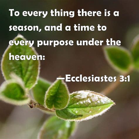 Ecclesiastes 3:1 To every thing there is a season, and a time to every ...