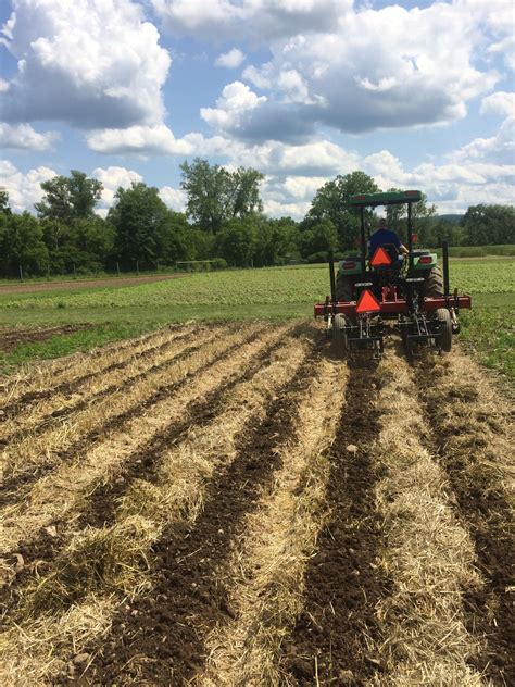 Strip Tillage - Cornell Small Farms