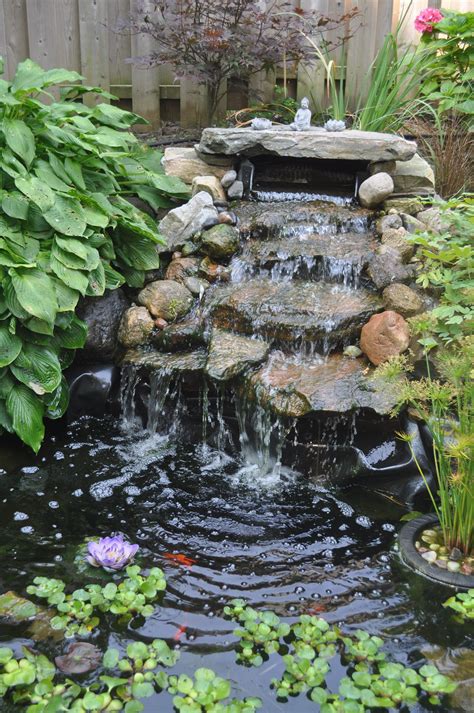 Few elements in any garden control to elicit the similar nod as a well-placed water feature. It ...