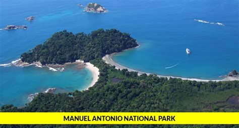 Manuel Antonio National Park Tour – Jungle Night Tour Manuel Antonio