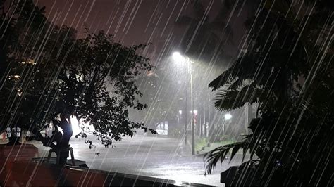 Tropical Storm - Heavy Rain, Strong Winds with Thunderstorm Sounds - Wind Rain Sounds for ...