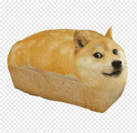 Doge Con Gorro Png : Том и джерри джерри, youtube джерри маус. - Filipff