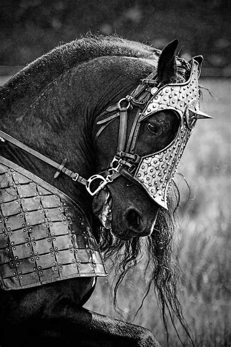 182 best images about Medieval War Horse on Pinterest | Duke, Saddles and Knight