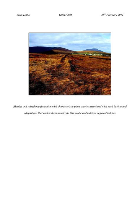 Blanket and Raised Bog Formation by Liam Loftus - issuu