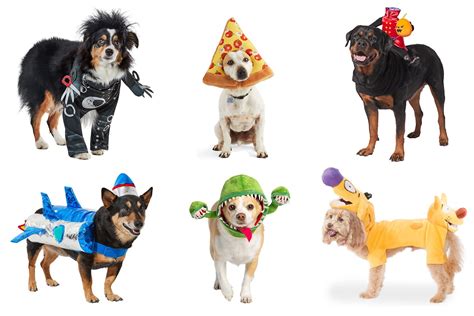 Top 10 Halloween Costumes for dogs