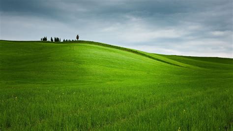 grass, Field, Green Wallpapers HD / Desktop and Mobile Backgrounds ...