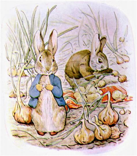 Kelley McMorris illustration: Beatrix Potter and illustrating rabbits