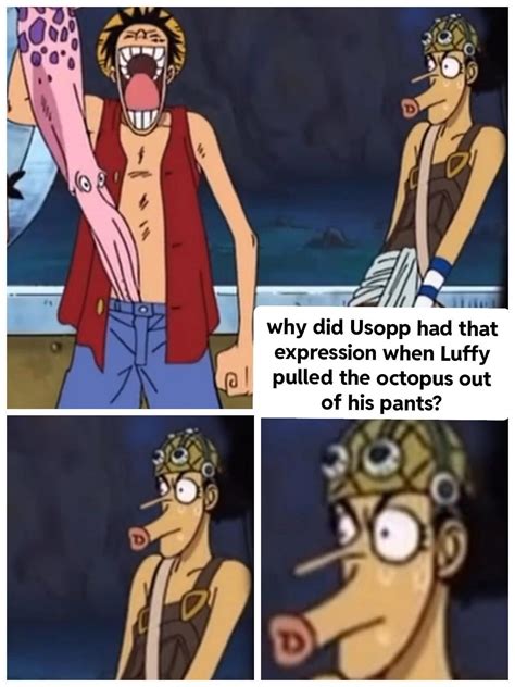 Why did Usopp made that face? : r/OnePiece