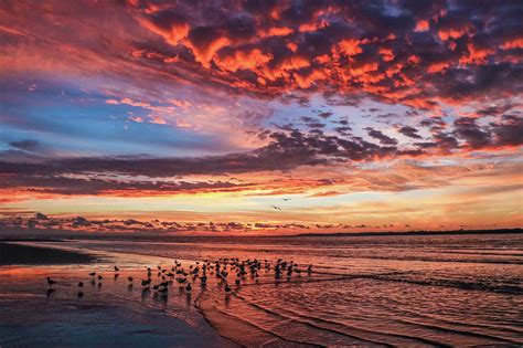 October Sky Photograph by Nikki Brubaker | Fine Art America