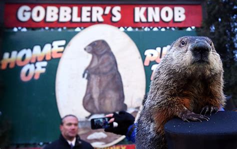 8 Groundhog Day Memes From Punxsutawney Phil