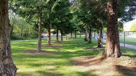 2019 Wednesday Evening #4 - North SeaTac Park - Cascade Orienteering Cascade Orienteering