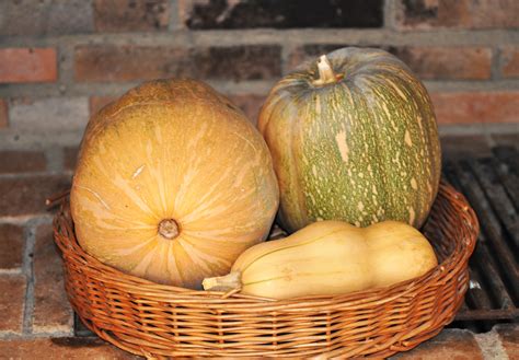 Free Images : food, harvest, produce, vegetable, autumn, pumpkin ...
