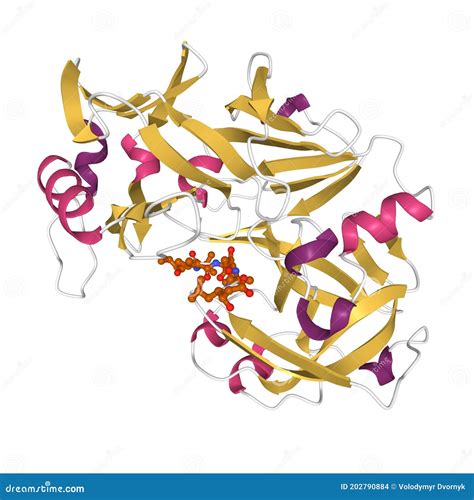 Enzyme Pepsin 3D Model Royalty-Free Stock Photography | CartoonDealer.com #23665109