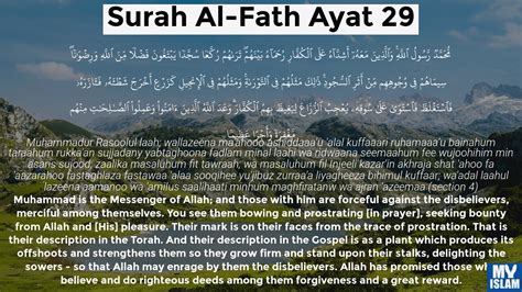 Surah Al-Fath Ayat 29 (48:29 Quran) With Tafsir - My Islam