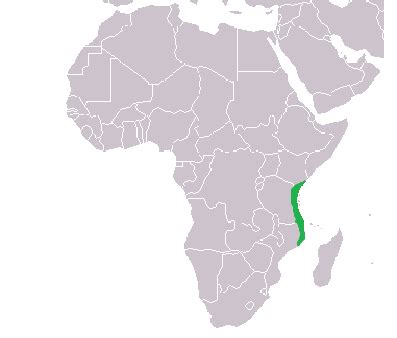 Swahili coast - Wikiwand