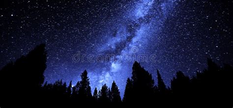 Milky Way Sky Forest at Night Time Stars Stock Photo - Image of landscape, scenic: 230305716