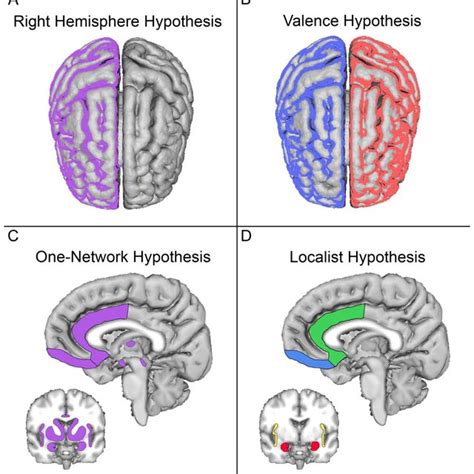 Four hypotheses for emotion processing in the brain have been put... | Download Scientific Diagram