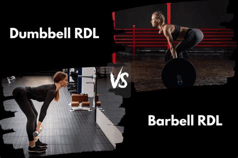 Dumbbell RDL vs Barbell RDL (Is One Better For Strength?) – Horton Barbell