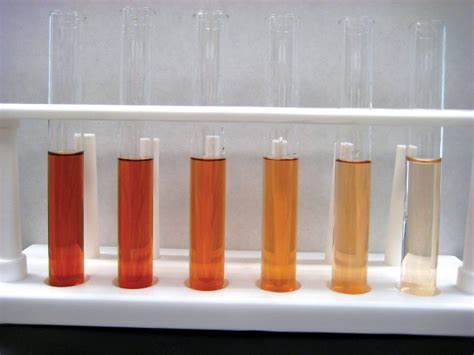 Analysis of Enzymes Using Peroxidase – Biology I: Introduction to Cell and Molecular Biology Lab ...