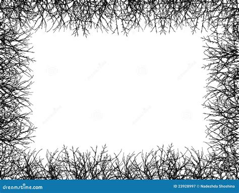 Twig frame stock vector. Illustration of decoration, naked - 23928997