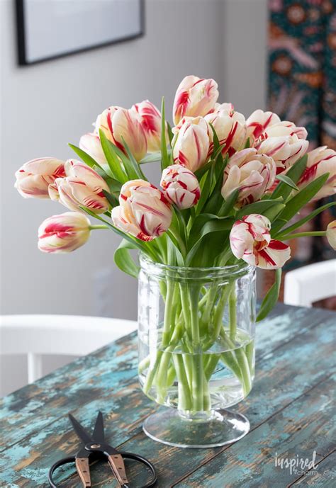 Arranging Tulips: Tips and Tricks for Beautiful Arrangements