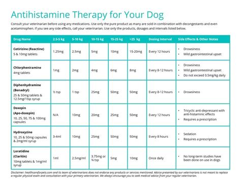 Antihistamine Therapy for Dogs: read the article before using this chart! | Therapy ...