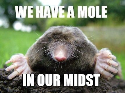 Meme Creator - Funny Happy Birthday Mole Meme Generator at MemeCreator.org!