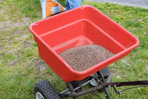 Can You Use a Salt Spreader for Fertilizer? - Single Girl's DIY