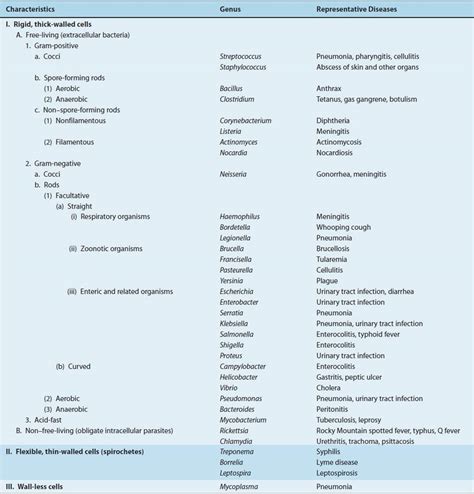 Microbiology Bacterial Classification Methods Youtube - Riset