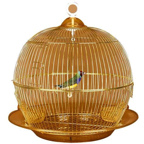 Gold Bird Cage As Decor