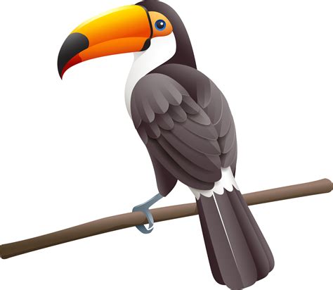 Free Toco Toucans Symbole Couleur Png With Transparent Background | The Best Porn Website