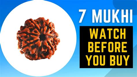 7 Mukhi Rudraksha Benefits | 7 mukhi rudraksha dharan karne ki vidhi ...