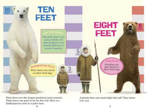 Polar Bear Vs Grizzly Bear Size Comparison