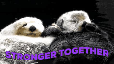 Stronger Together Otter GIF by chuber channel - Find & Share on GIPHY