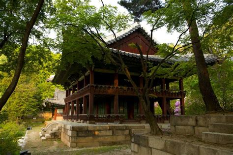 Changdeokgung Palace Complex | Patrimoine mondial, Plan urbanisme, Paysage forestier
